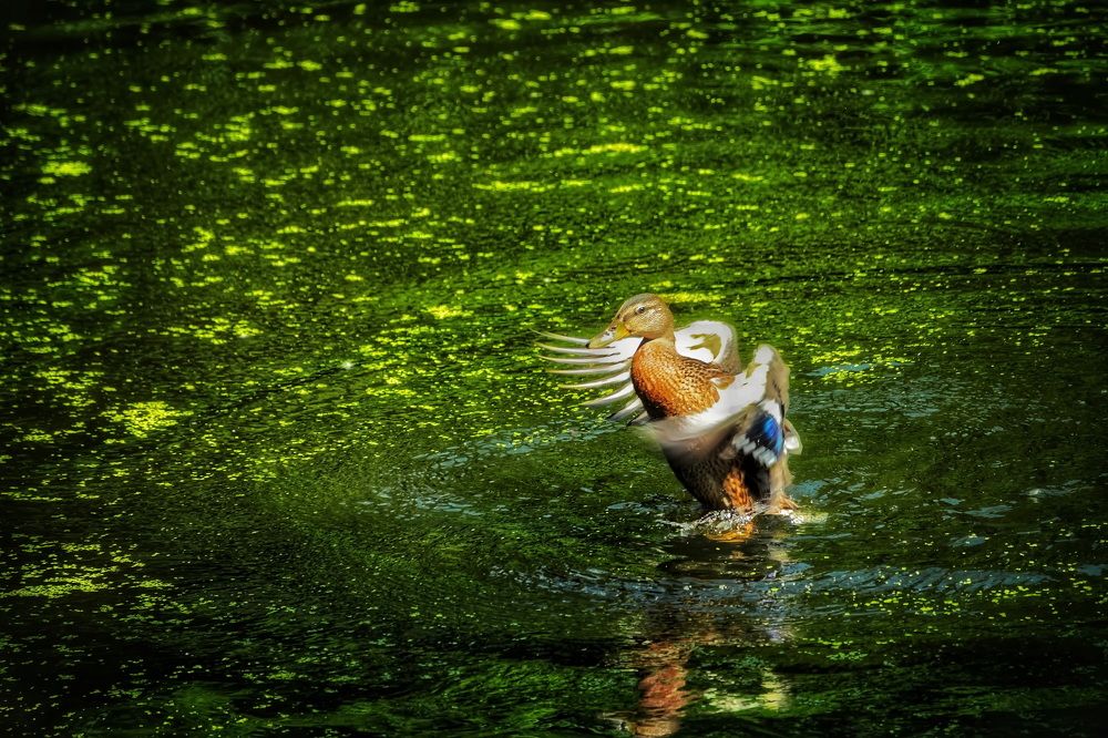 Photograph by Жиляев Евгений