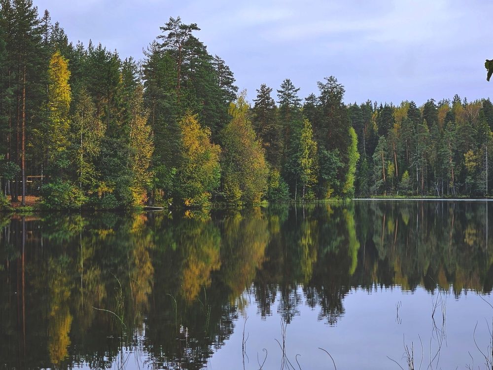 Photograph by Анастасия Алтабаева