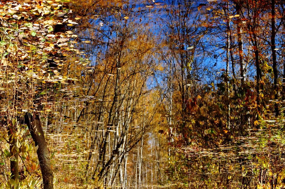 Photograph by Жиляев Евгений