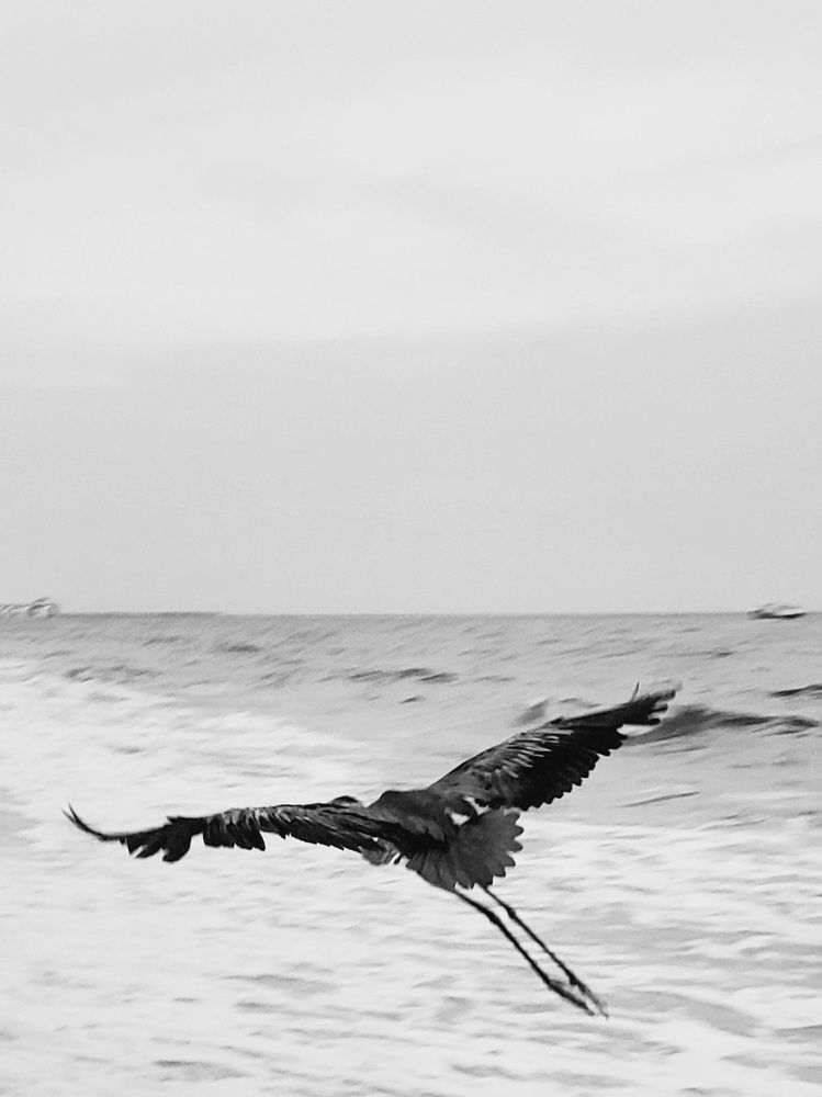 Photograph by Татьяна Пирс