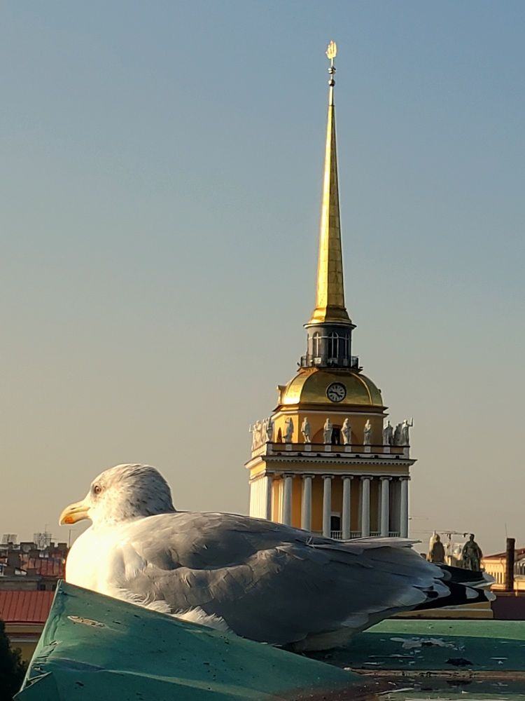 Photograph by Татьяна Пирс