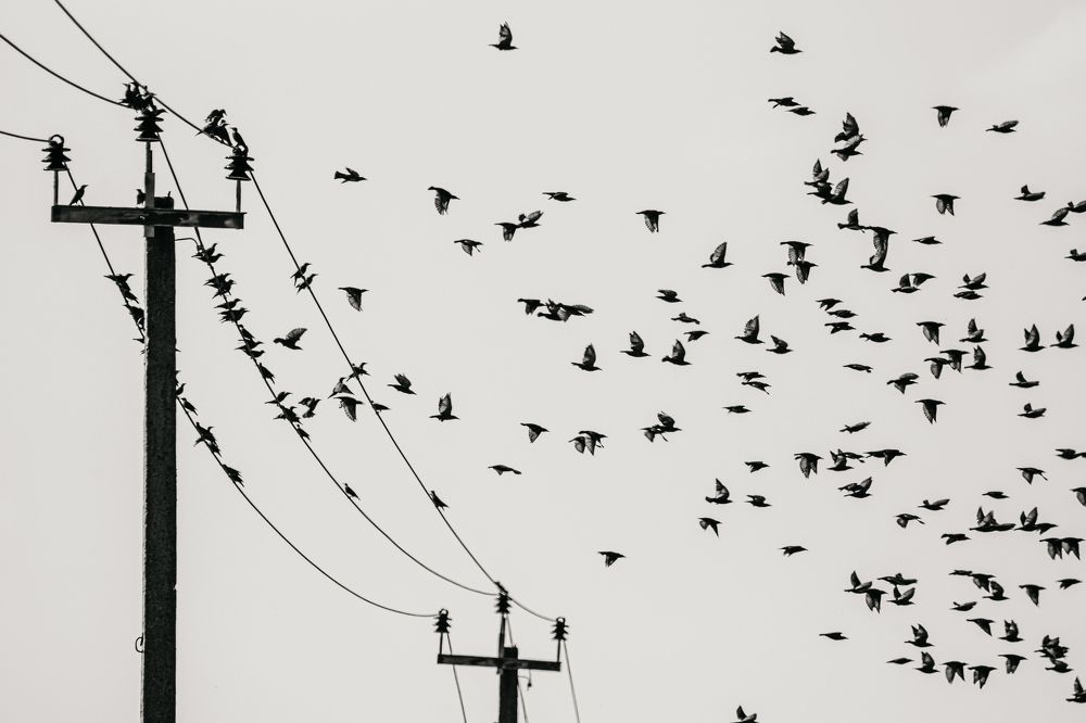 Photograph by Юлия Фомина