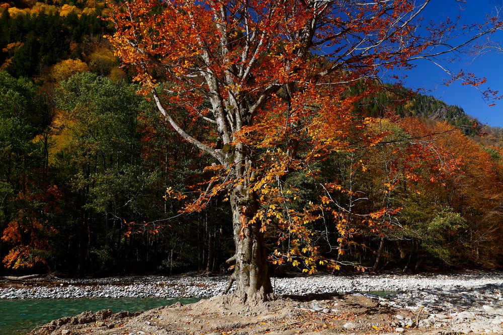 Photograph by Evgeny Karpenko