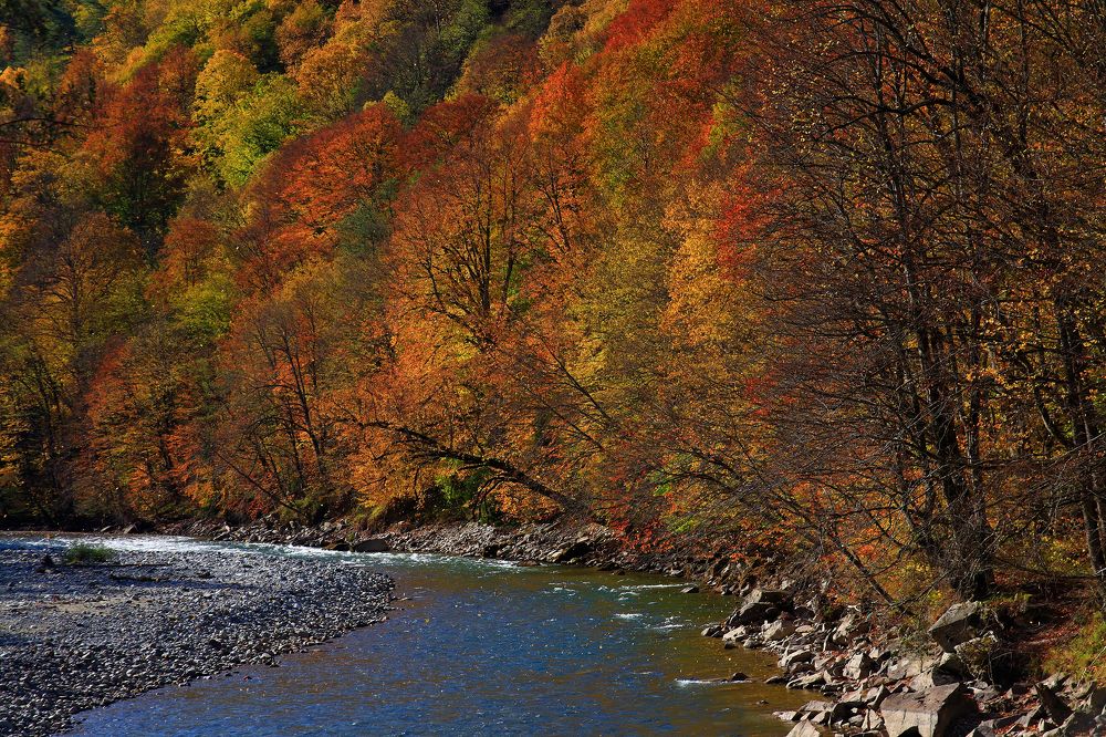 Photograph by Evgeny Karpenko