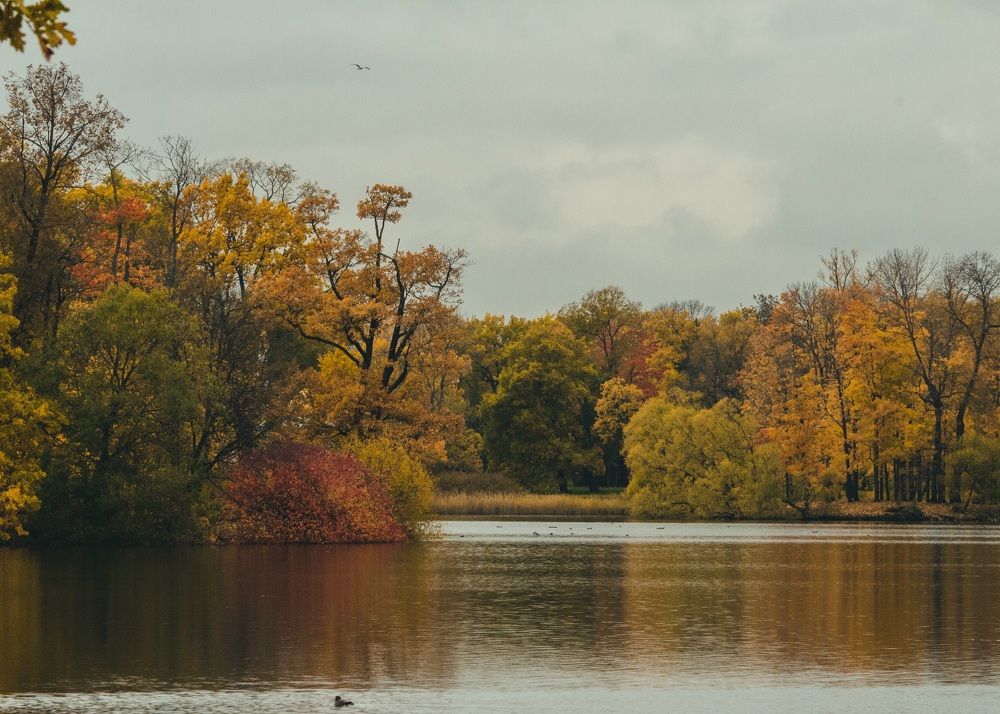 Photograph by Галчонок Ахмерова