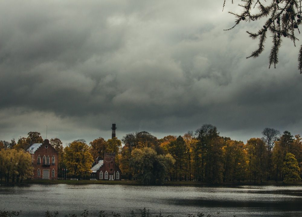 Photograph by Галчонок Ахмерова