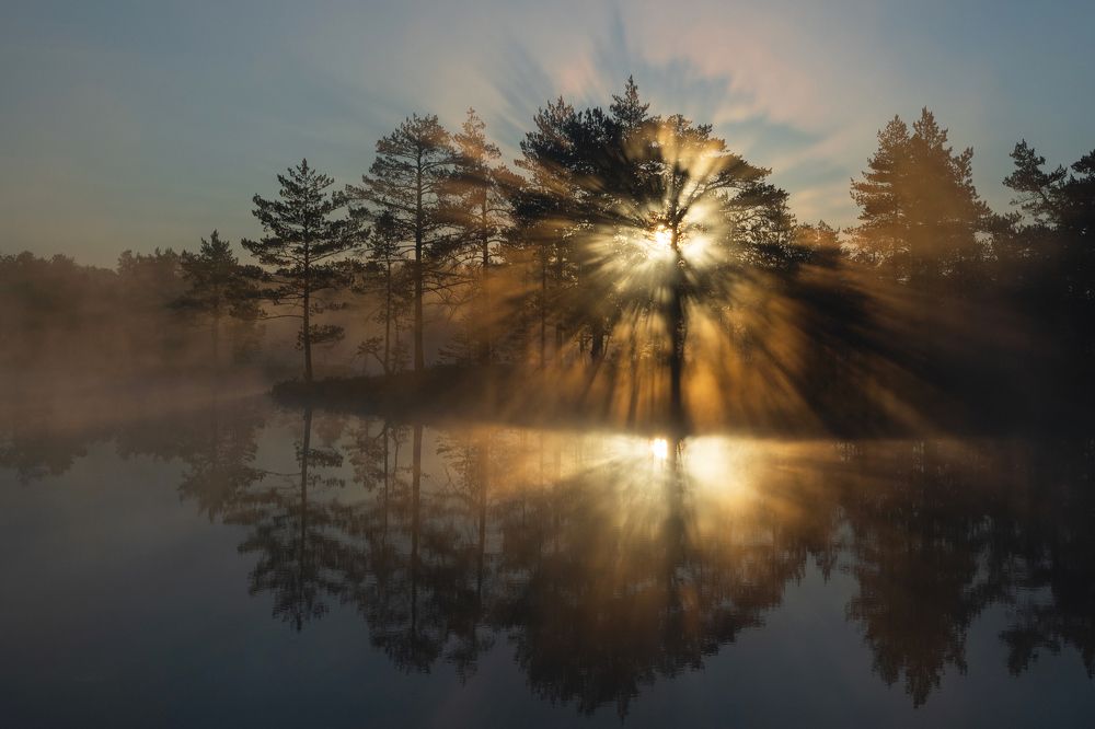 Photograph by Natalie Lamm