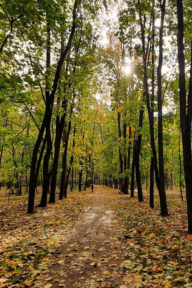 Photograph by Екатерина