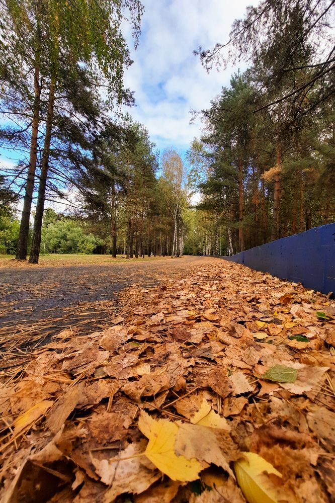 Photograph by Екатерина