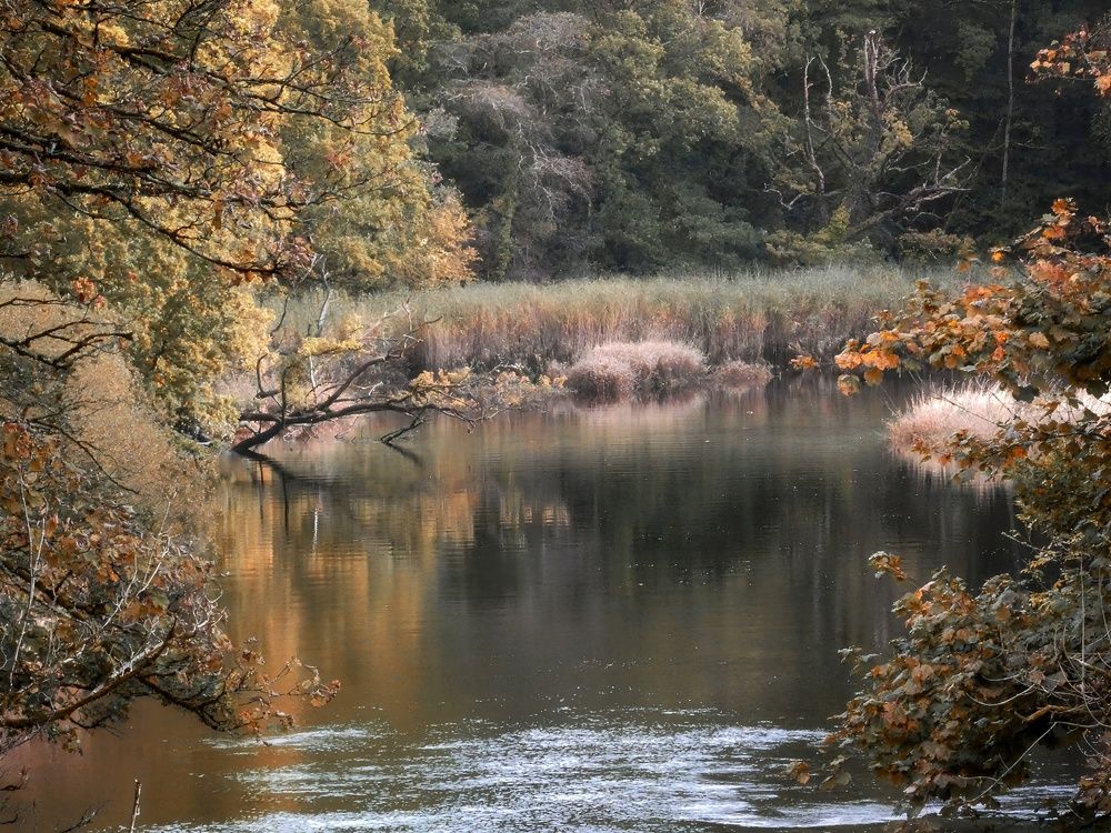 Фотография автора Michael Gault