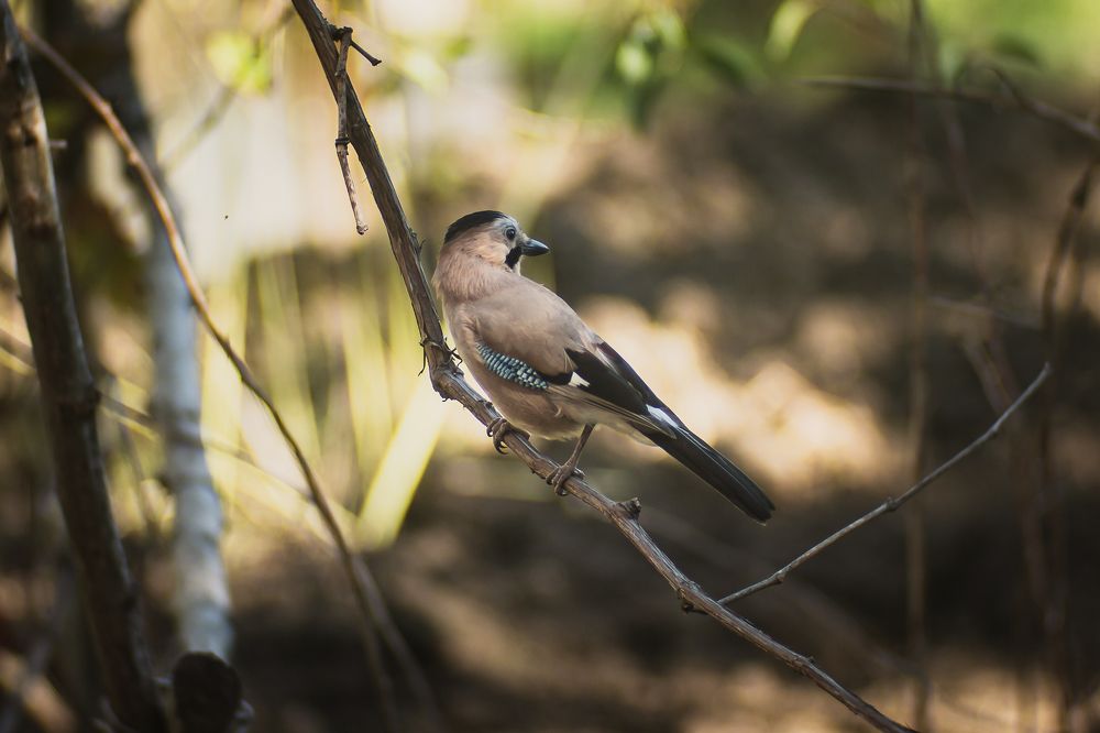 Photograph by Филипп Бабенко