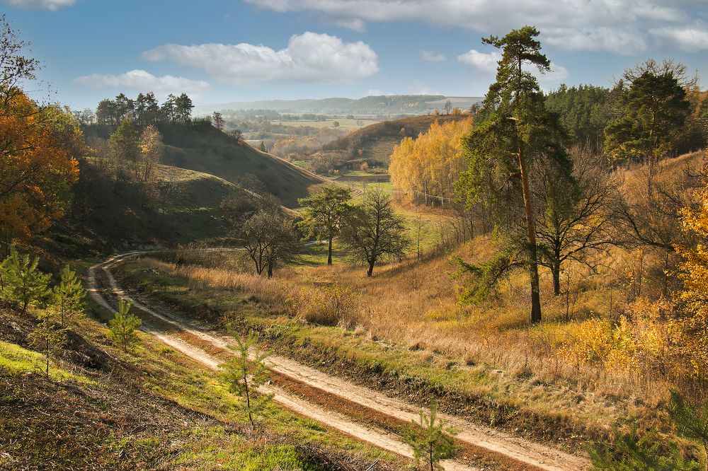 Photograph by Анна Татаренко