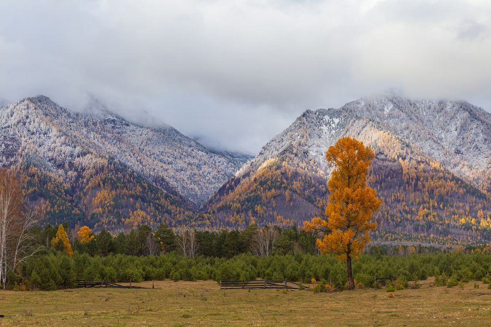 Дыхание зимы