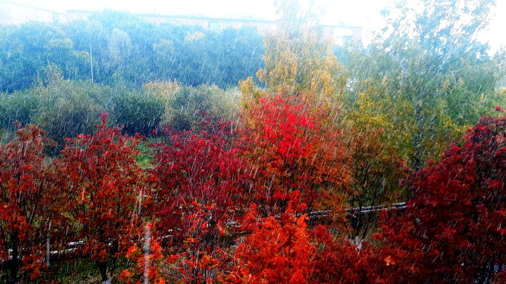 Фотография автора фотокружок "Мир в объективе" ГПОУ "ПСТ"