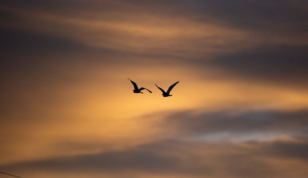 Photograph by Assal mouadh