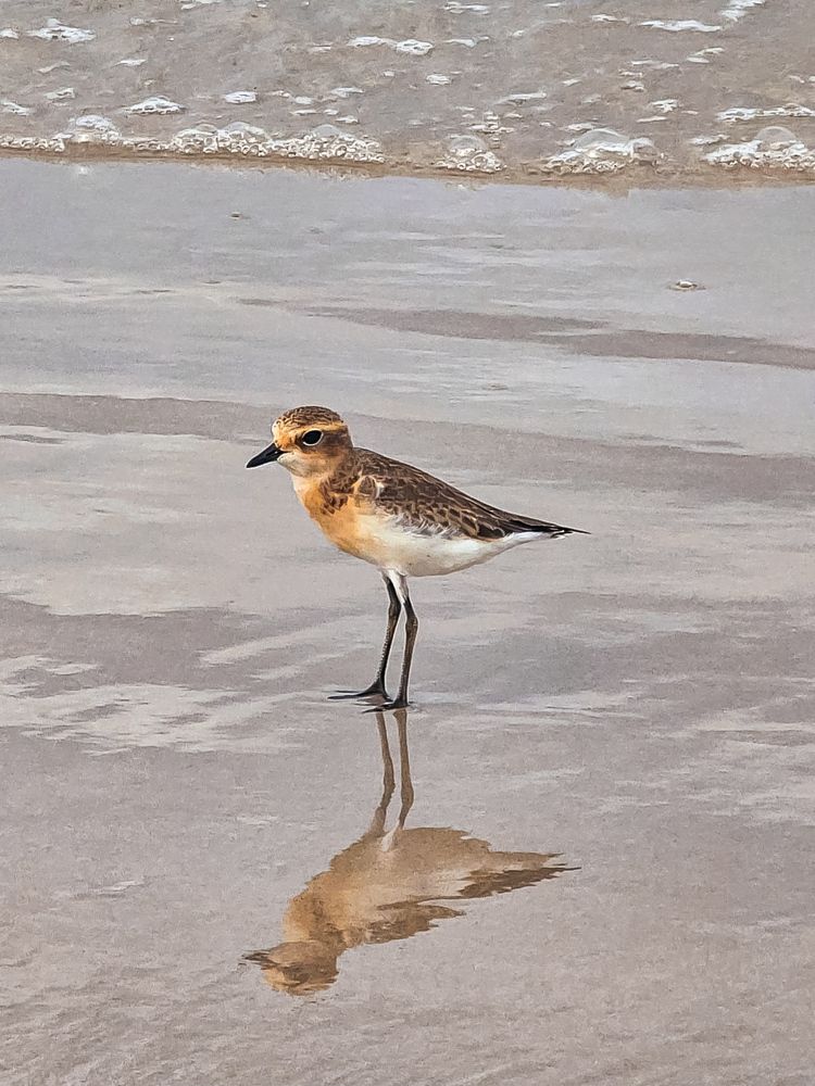 Photograph by Анна Далингер