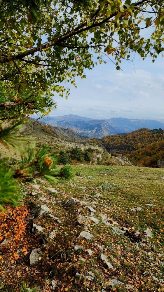 Фотография автора Татьяна Cristl