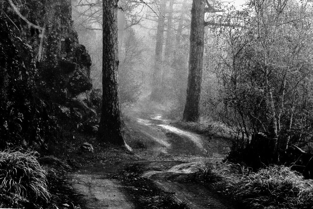 Photograph by Batsaikhan Badamdorj