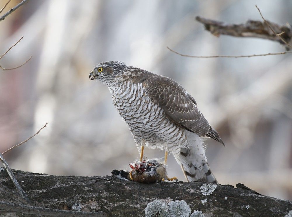 Photograph by Наталья Турчик