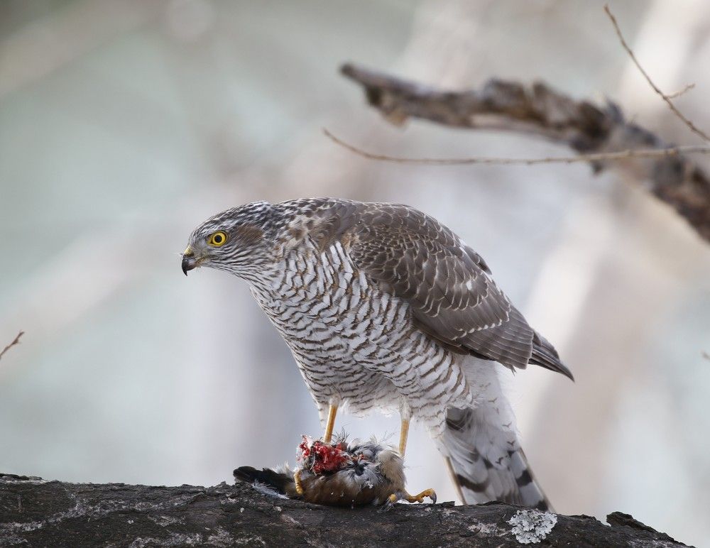 Photograph by Наталья Турчик