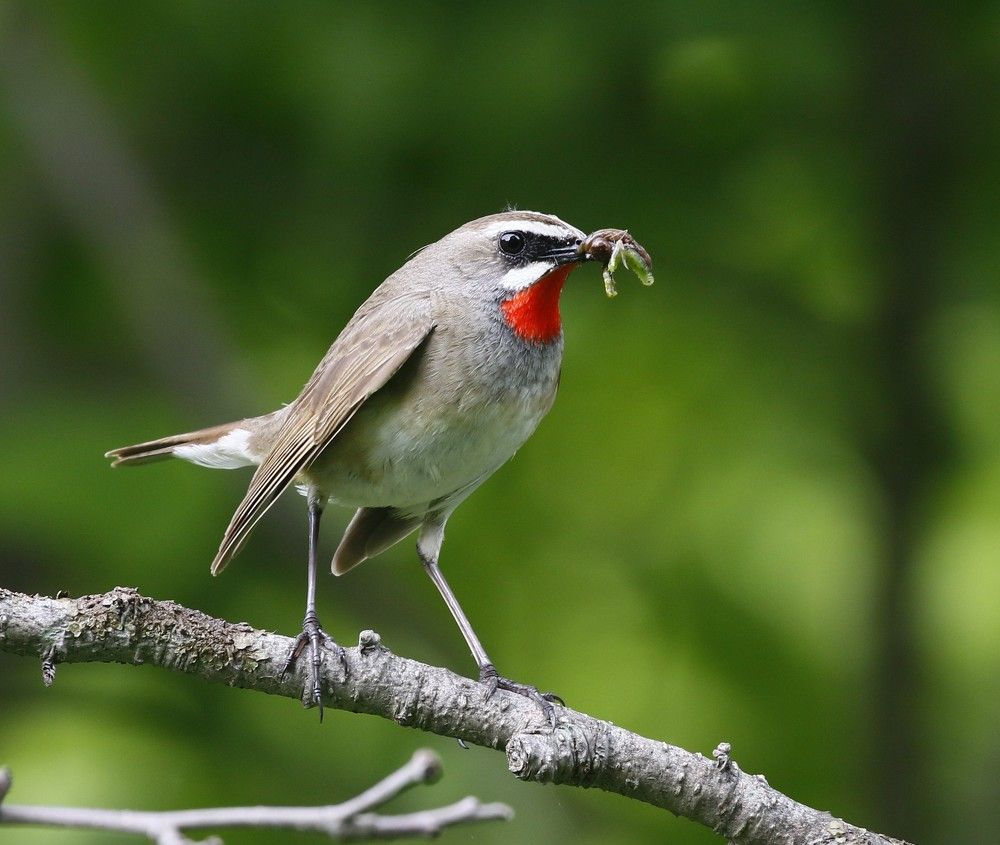 Photograph by Наталья Турчик