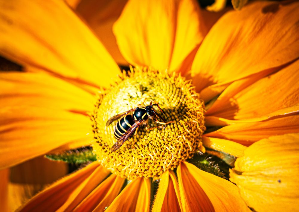 Photograph by Владимир Сушкин