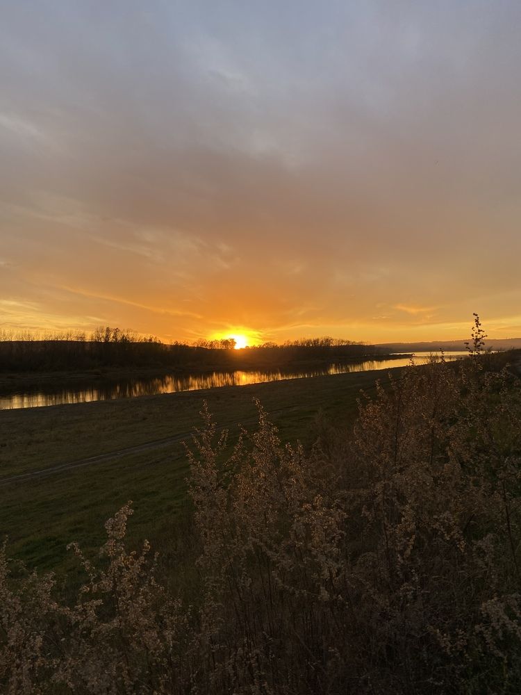 Photograph by Наталья Савельева