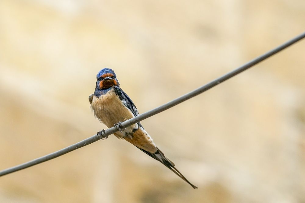 Photograph by müslüm Demirkul