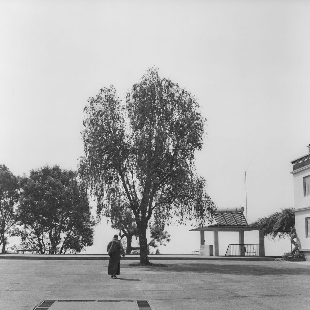 Photograph by Роман Поленин