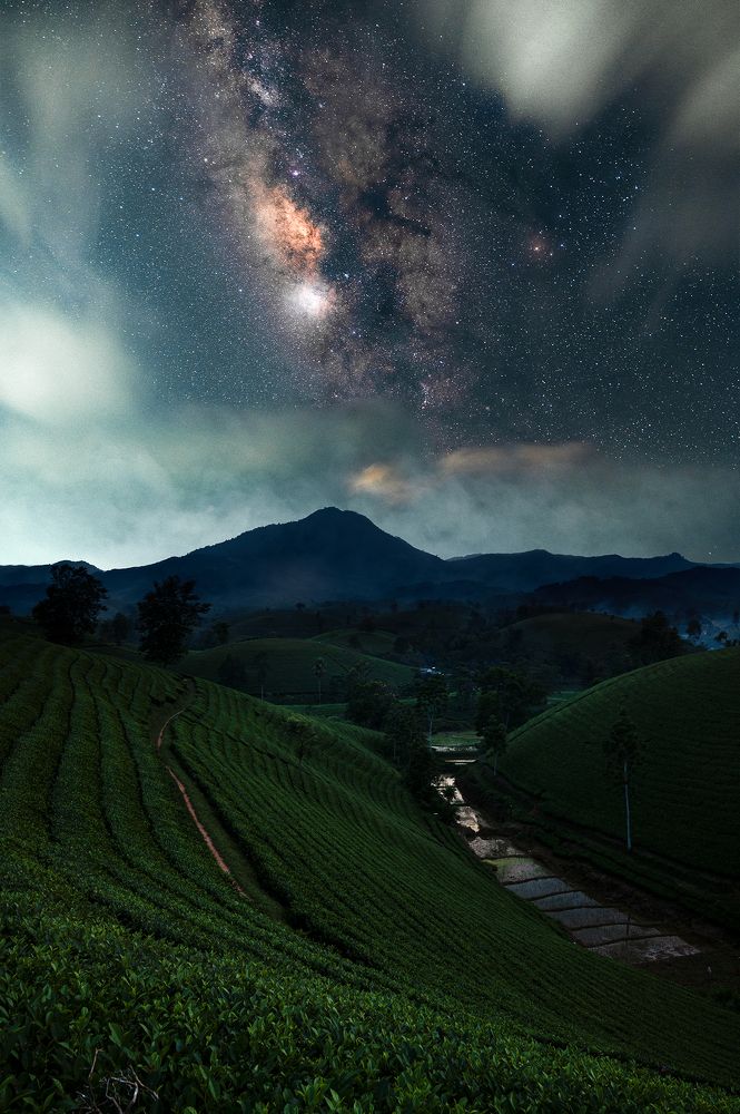 Photograph by Hung Hoang Kim