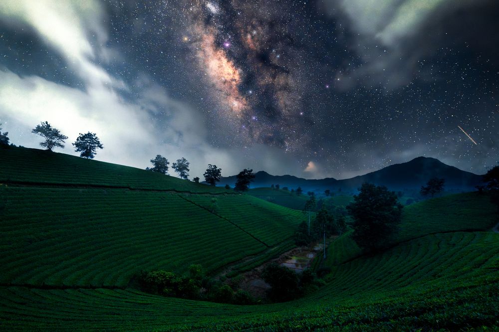 Photograph by Hung Hoang Kim