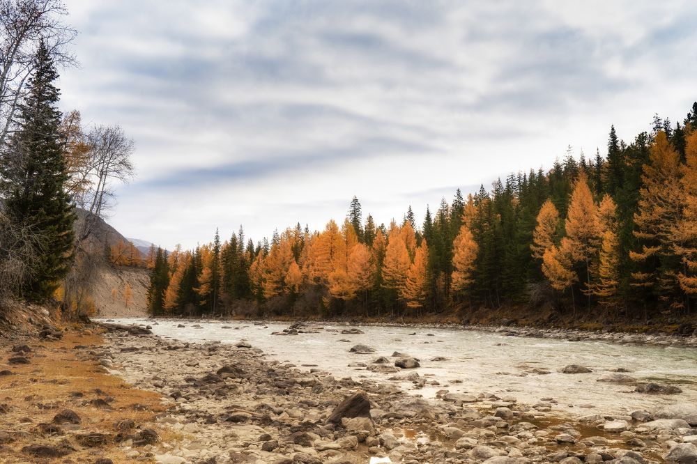 Photograph by Руслан Нигматуллин