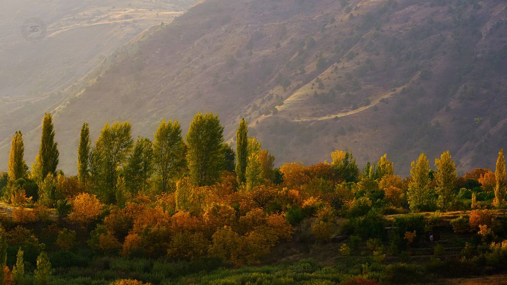 Photograph by Samvel Sargsyan