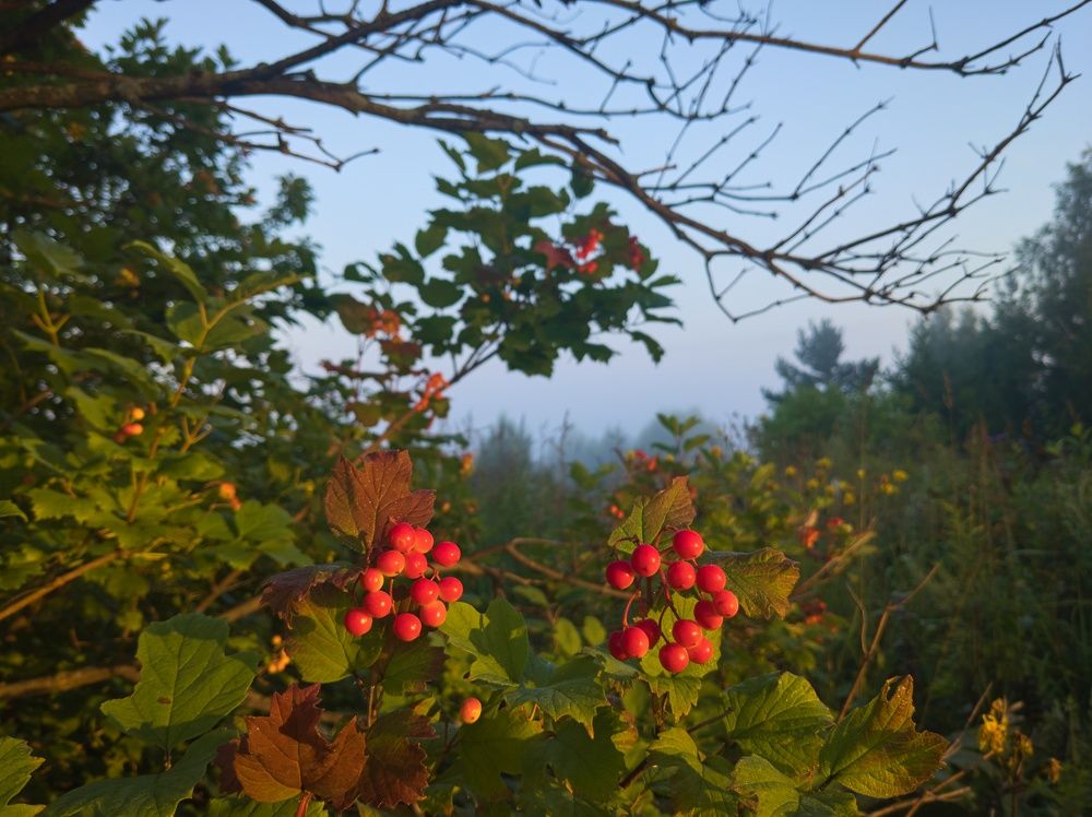 Августовский пейзаж