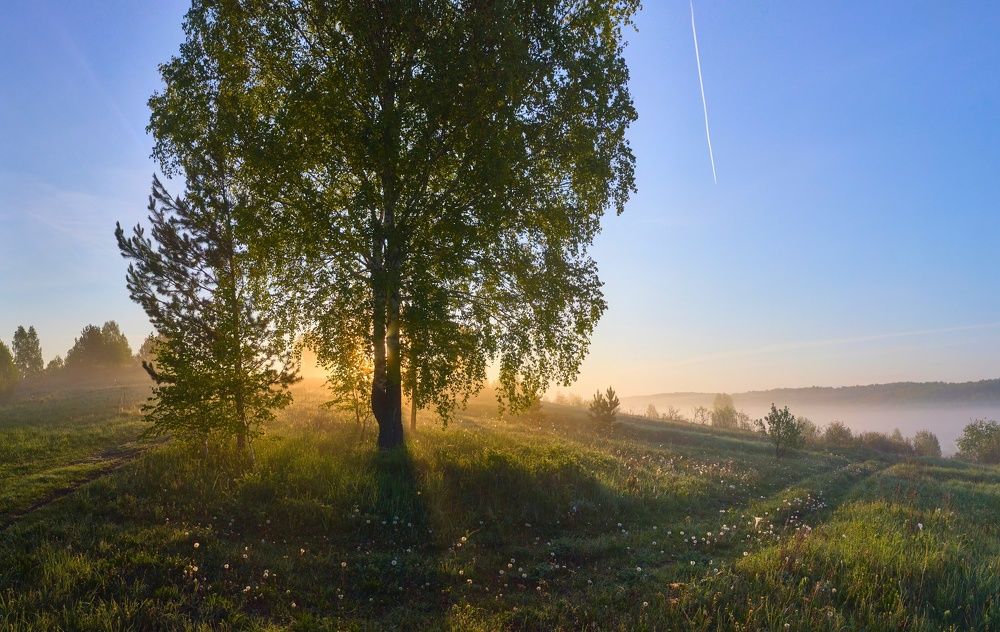 Начало лета