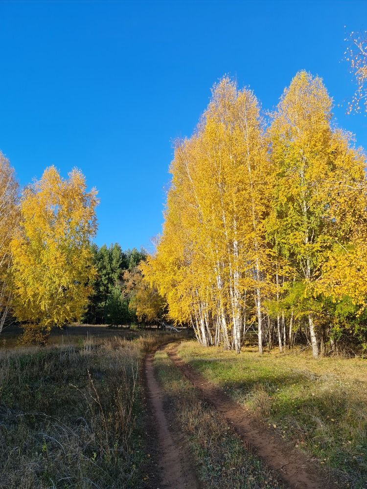 Photograph by Вадим Богатиков