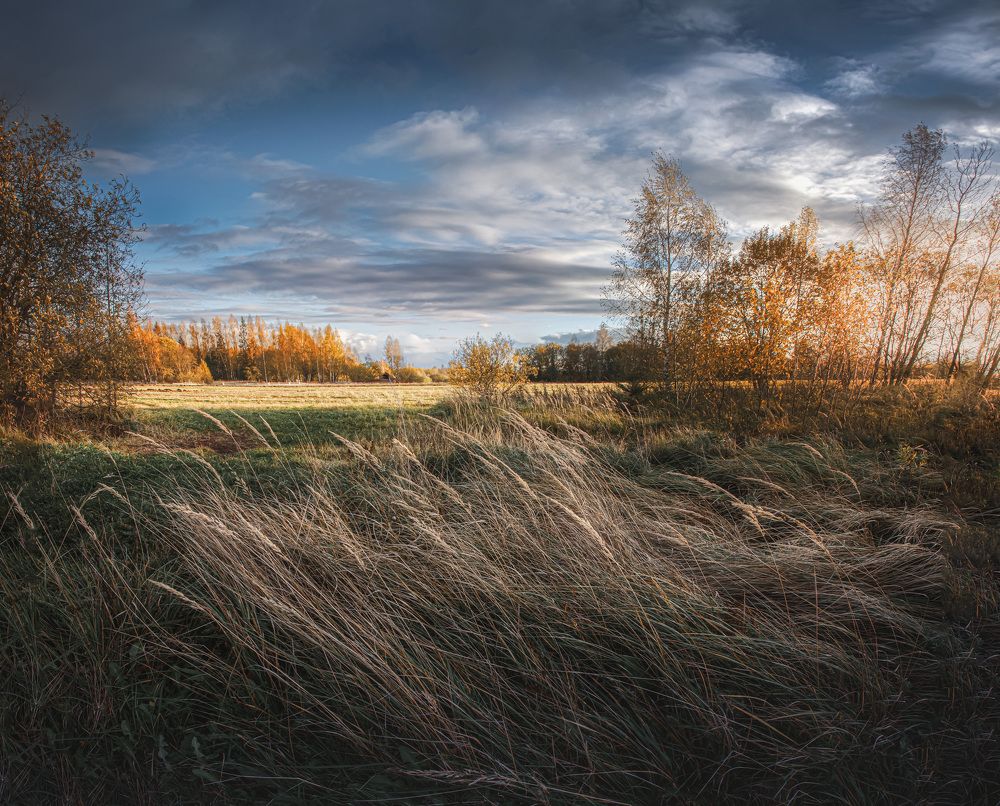 Photograph by Зеленько Дмитрий