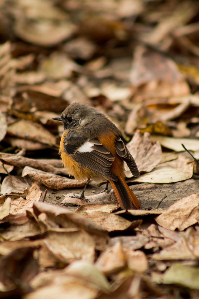 Photograph by Анна Рогачева