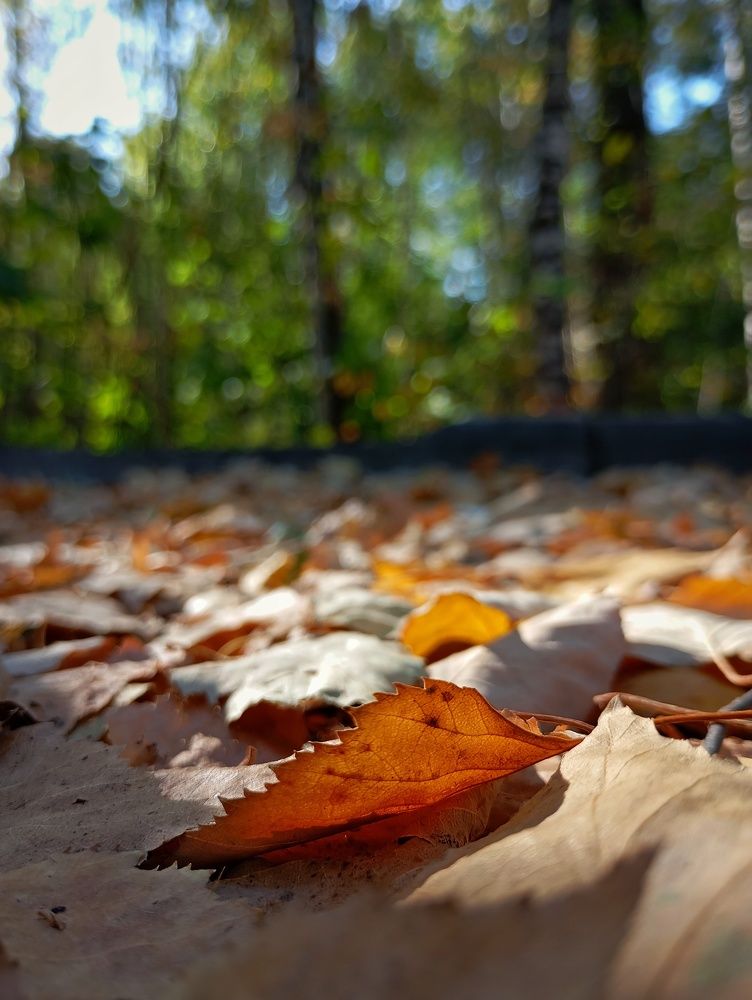 Photo #11148099