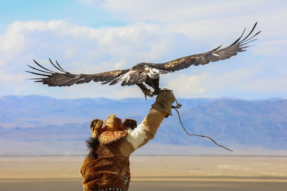 Eagle hunter