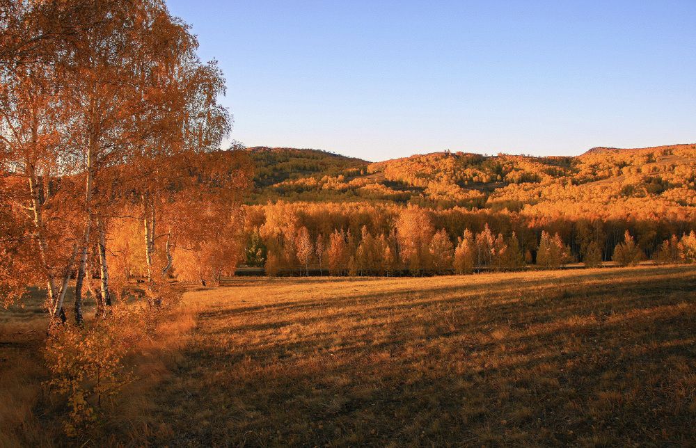 Осень в утренних лучах солнца