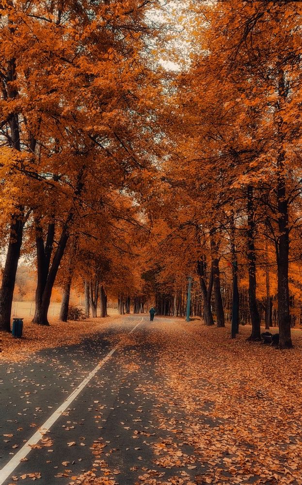 Photograph by Евгений Белов