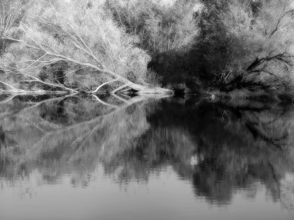 Photograph by Александр Поздняков