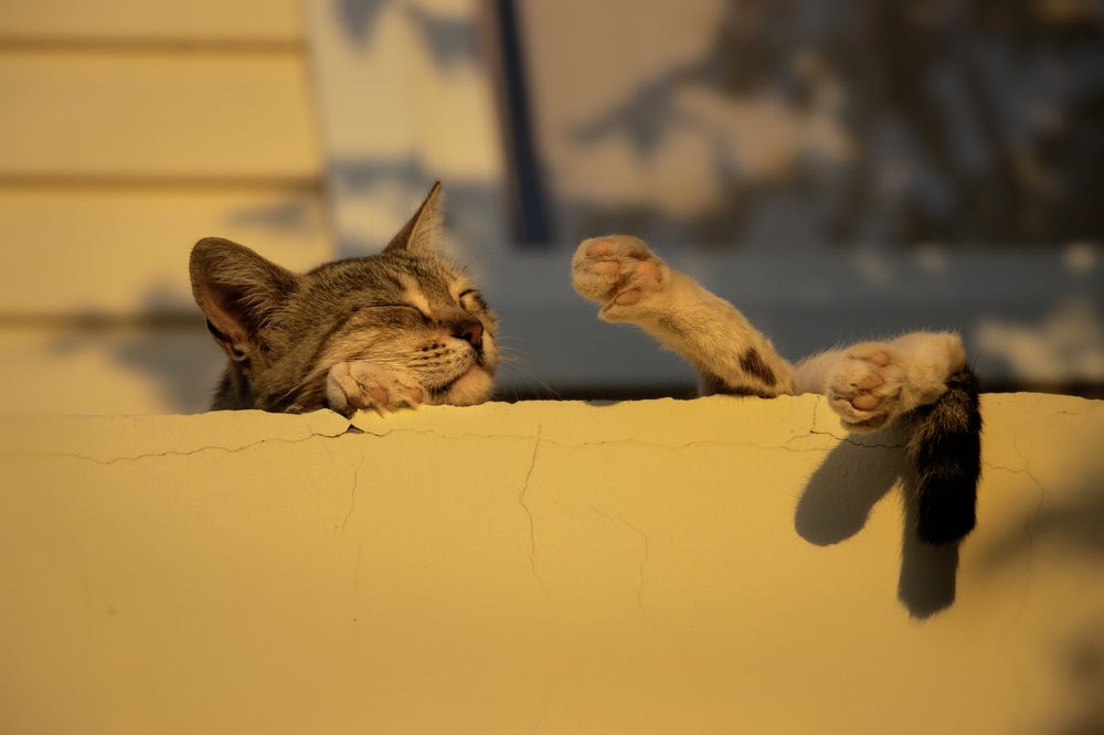 Photograph by Галина Ильясова