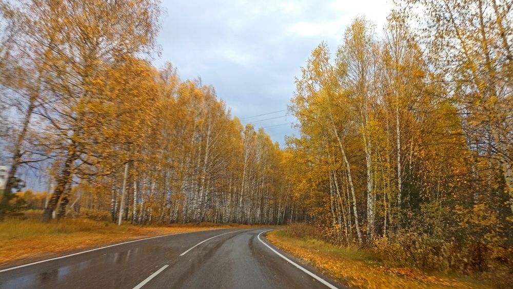 Фотография автора Людмила Базарова