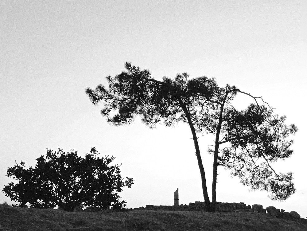 Photo #11148183