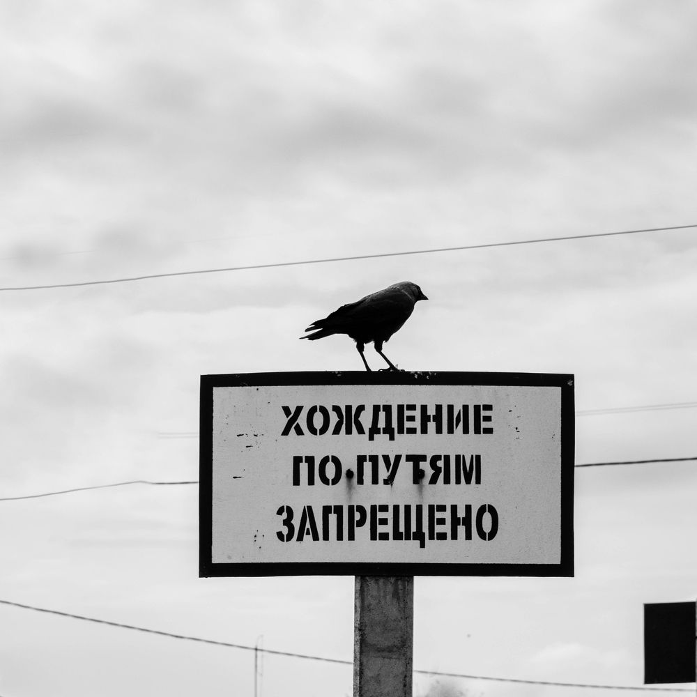 Фотография автора Дарья Дмитриевна