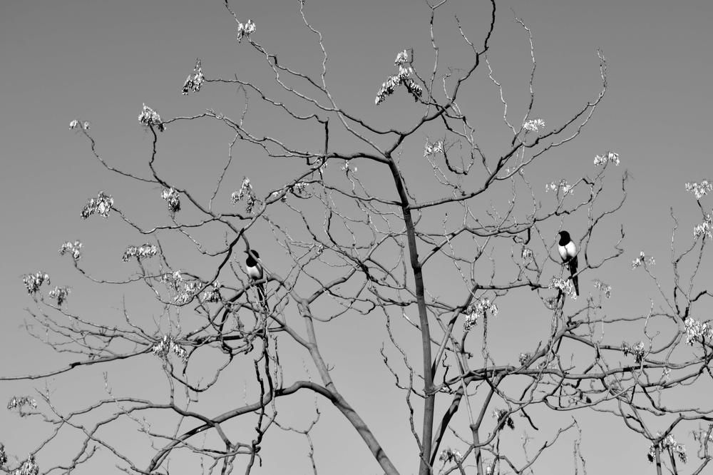 Photograph by FOIVOS Stampoliadis
