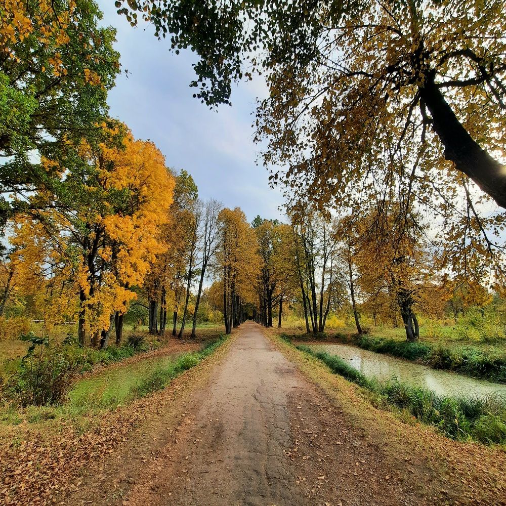 Photograph by Мирон Сергей