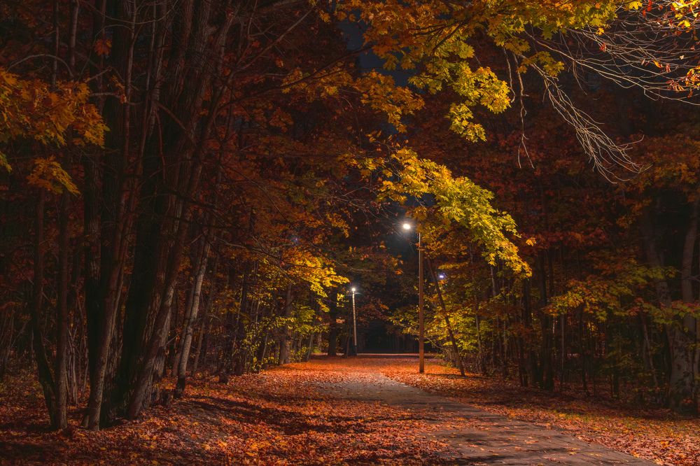 Photograph by Alexander Semenko